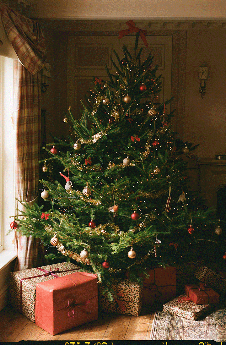 WNU Christmas Gift Guide 