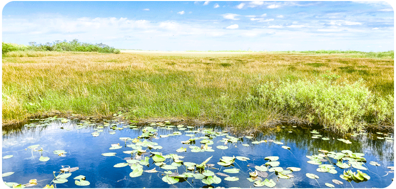 Wetlands/Floodplains