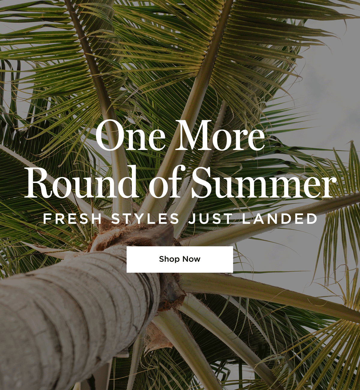 One More Round Of Summer