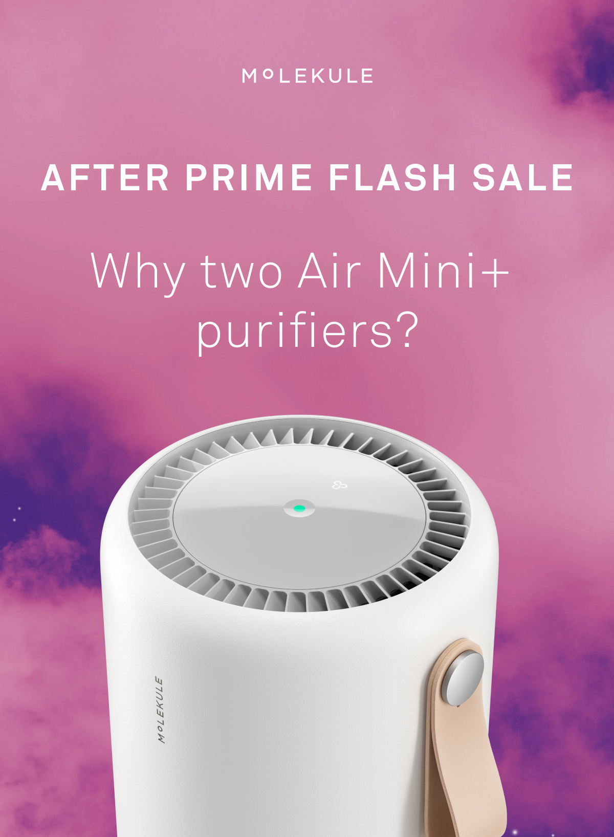 Shop the Sale Shop the Sale