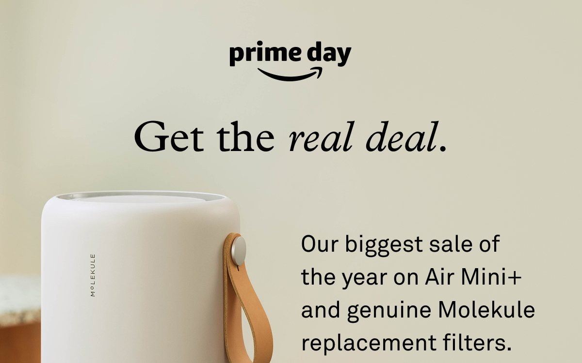 Get the real deal: Our biggest sale of the year on Air Mini+ and genuine Molekule replacement filters  Get the real deal: Our biggest sale of the year on Air Mini+ and genuine Molekule replacement filters