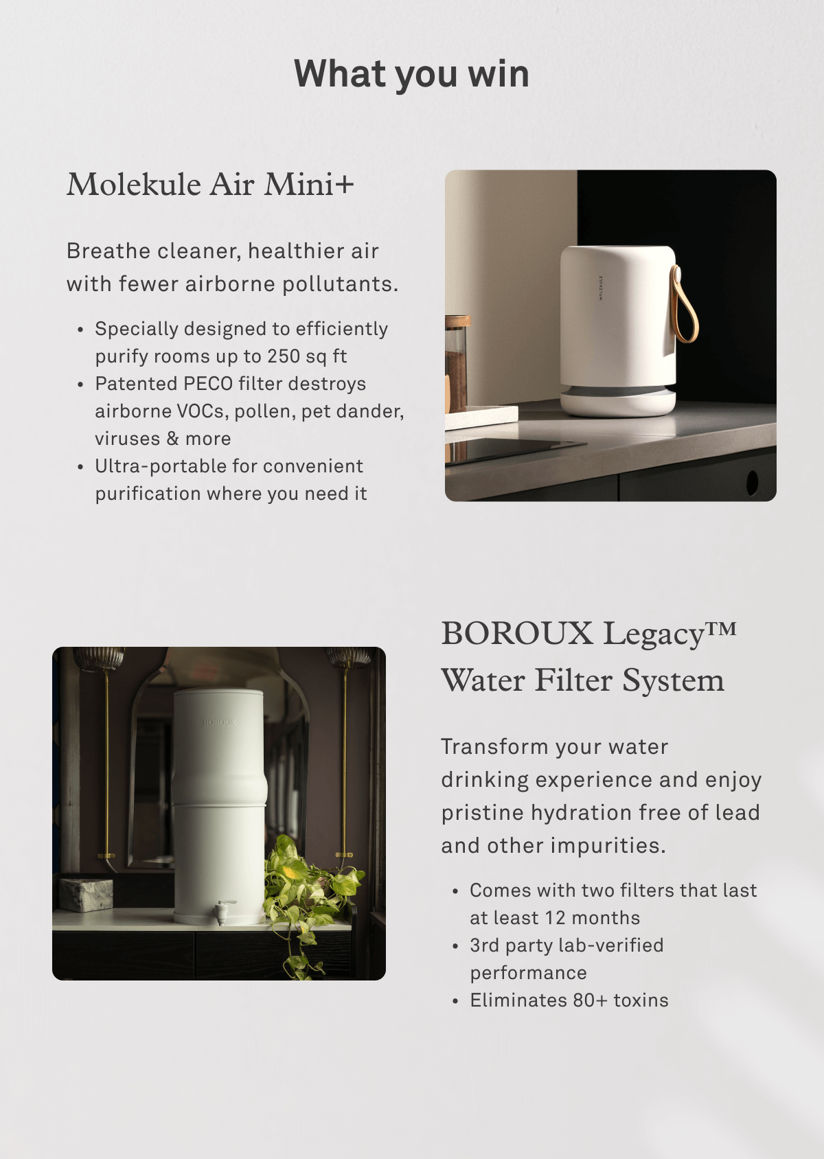 What you win: Molekule Air Mini+ and BOROUX Legacy Water Filter System What you win: Molekule Air Mini+ and BOROUX Legacy Water Filter System