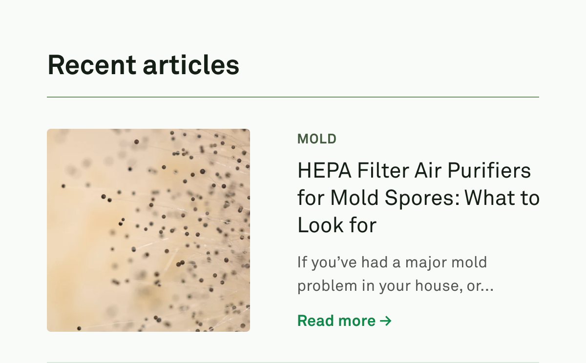HEPA Filter Air Purifiers for Mold Spores: What to Look for