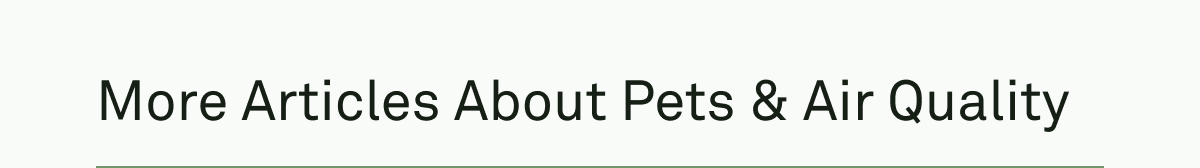 More articles about pets and air quality More articles about pets and air quality