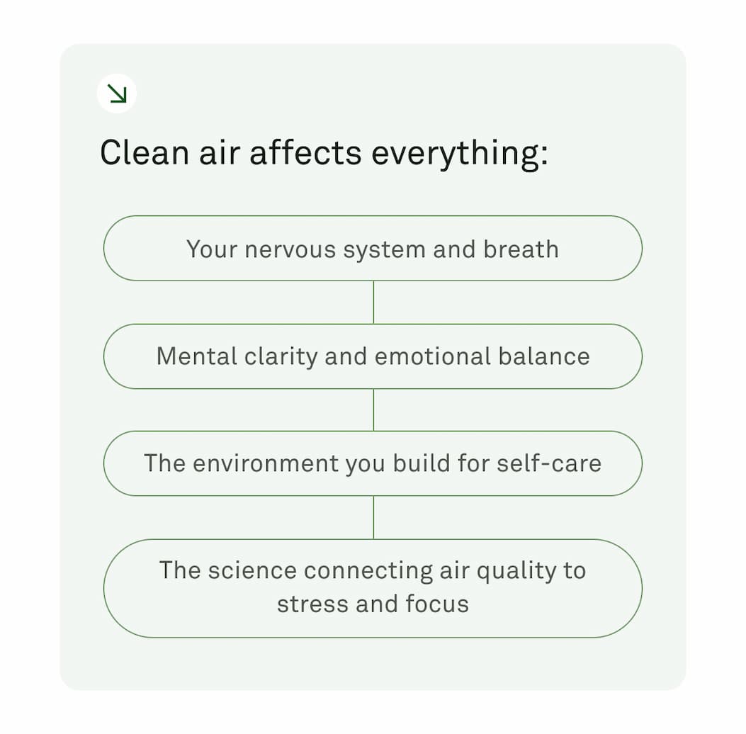 Clean air affects everything