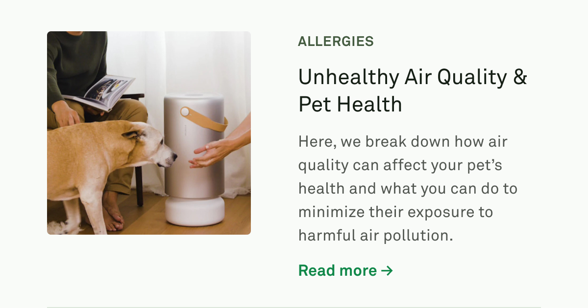 Unhealthy Air Quality & Pet Health Unhealthy Air Quality & Pet Health