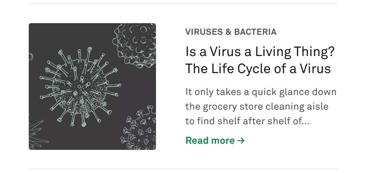 Is a virus a living thing? The lifecycle of a virus