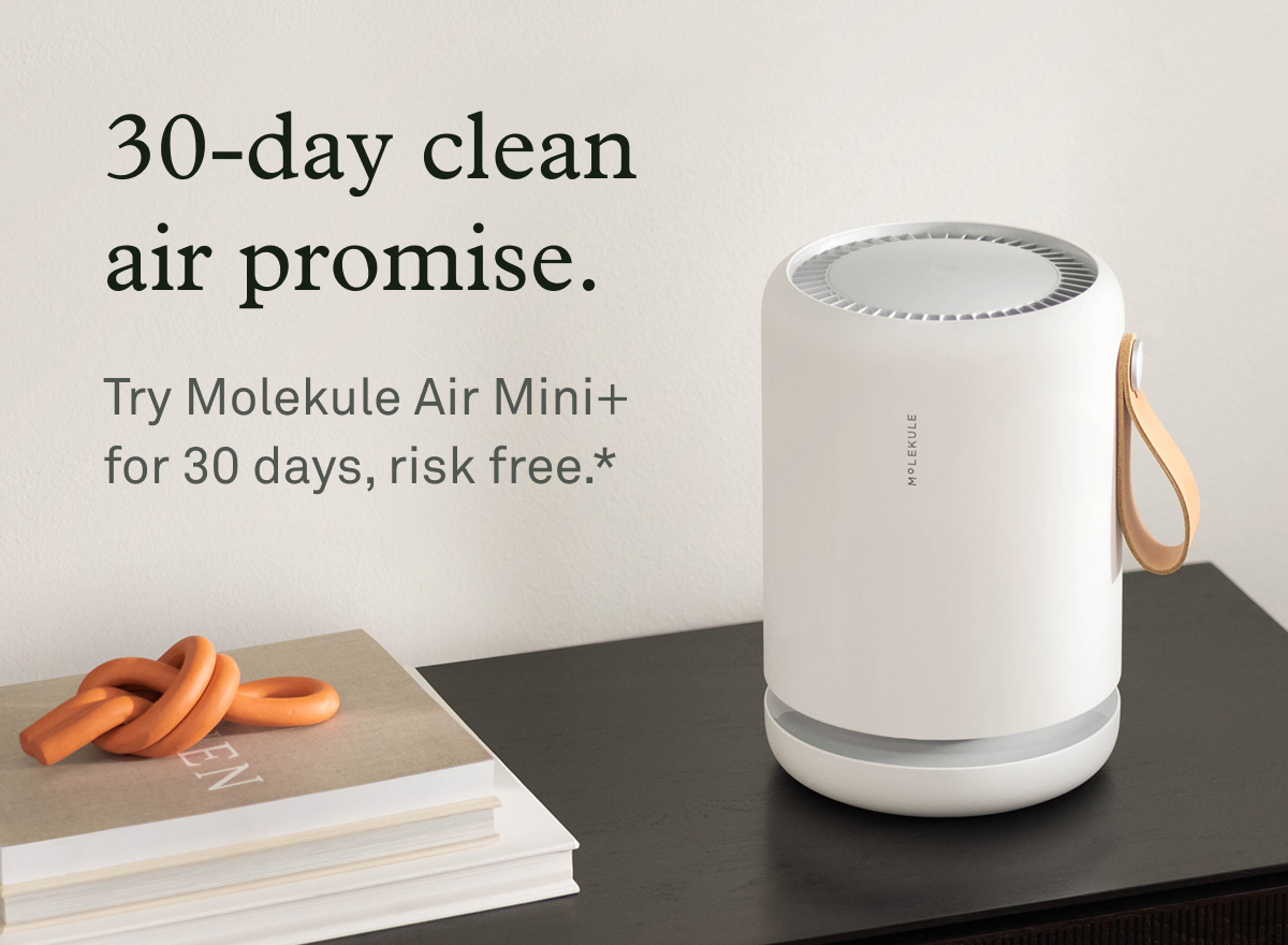 30-day clean air promise