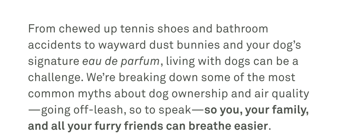 We're breaking down some of the most common myths about dog ownership and air quality We're breaking down some of the most common myths about dog ownership and air quality