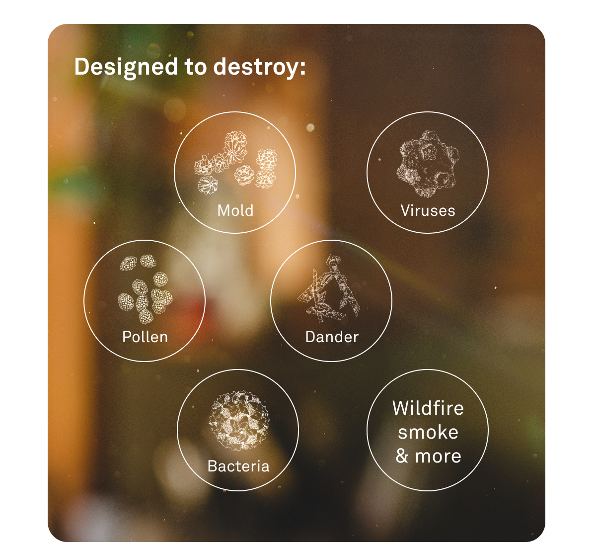 Reduce your exposure to viruses this fall Reduce your exposure to viruses this fall