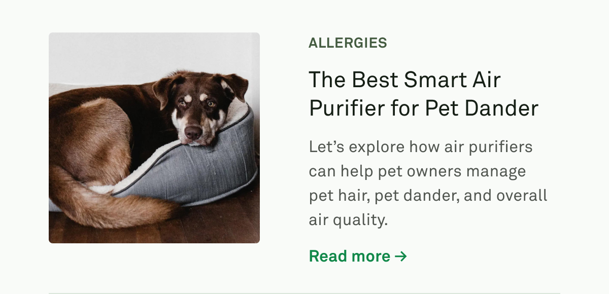 The Best Smart Air Purifier for Pet Dander The Best Smart Air Purifier for Pet Dander