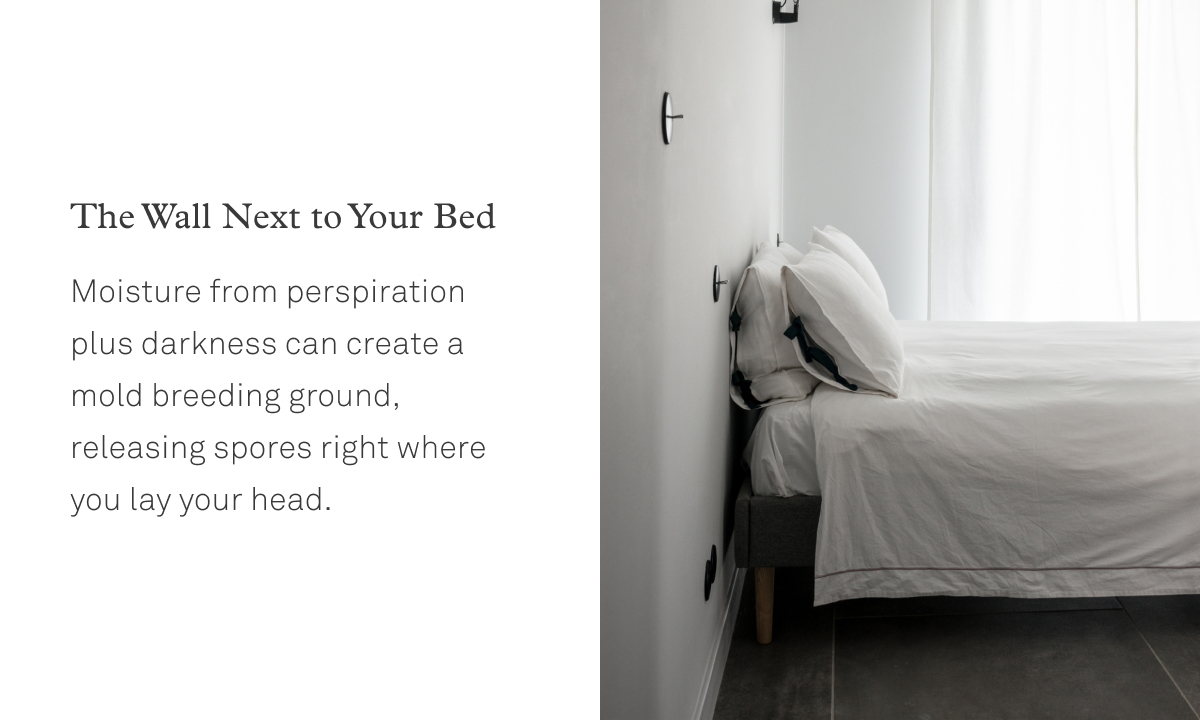 Check these 5 spots for mold in your home Molekule