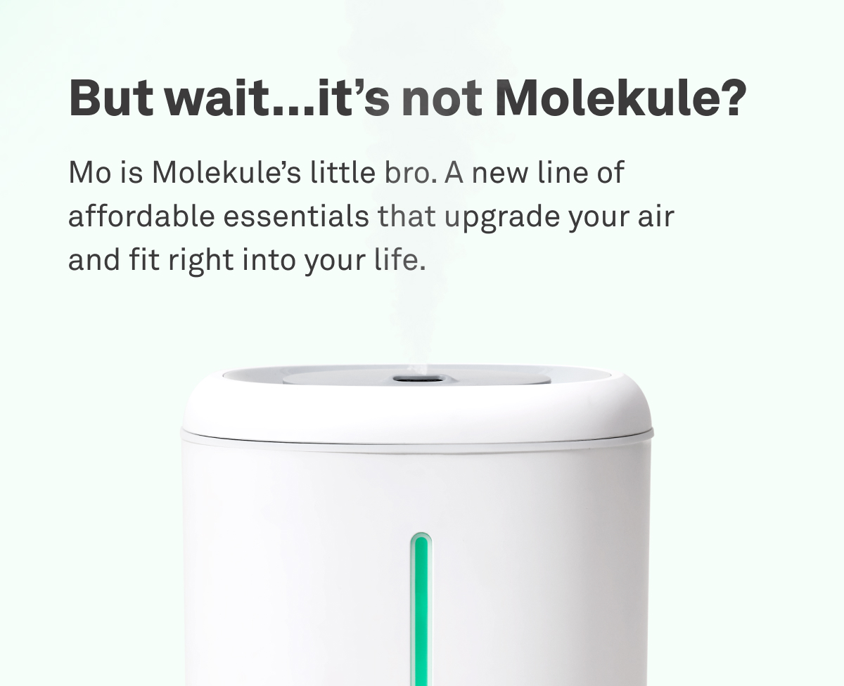 Mo is Molekule's little bro. A new line of affordable essentials that upgrade your air and fit right into your life.