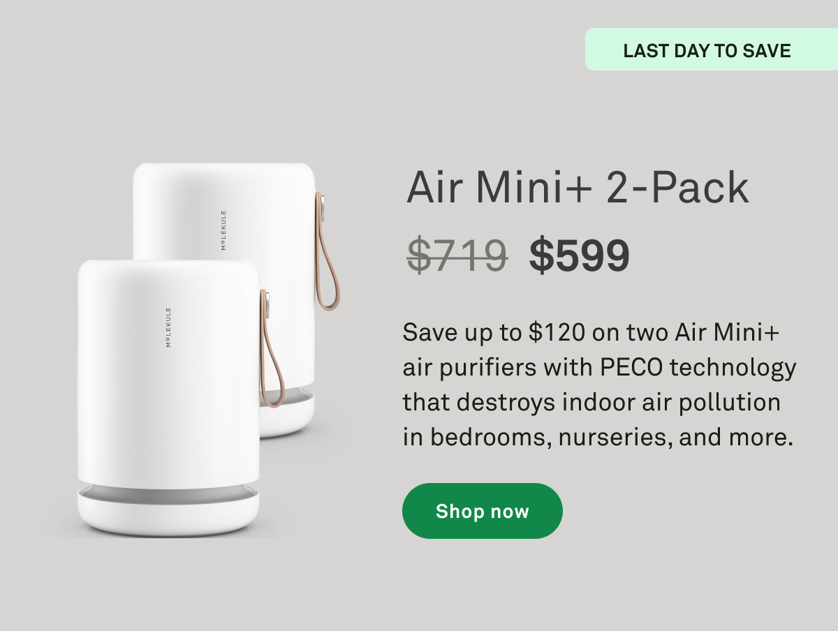 Shop the Sale Shop the Sale