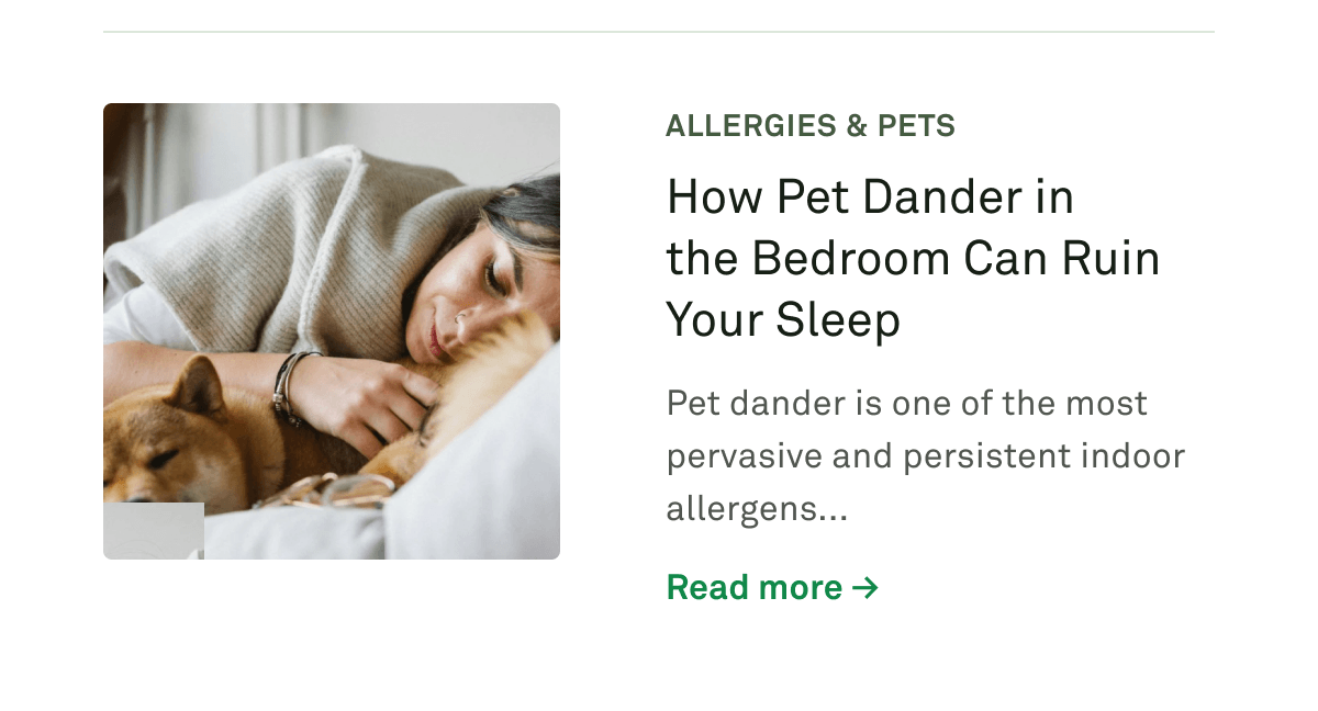 How Pet Dander in the Bedroom Can Ruin Your Sleep