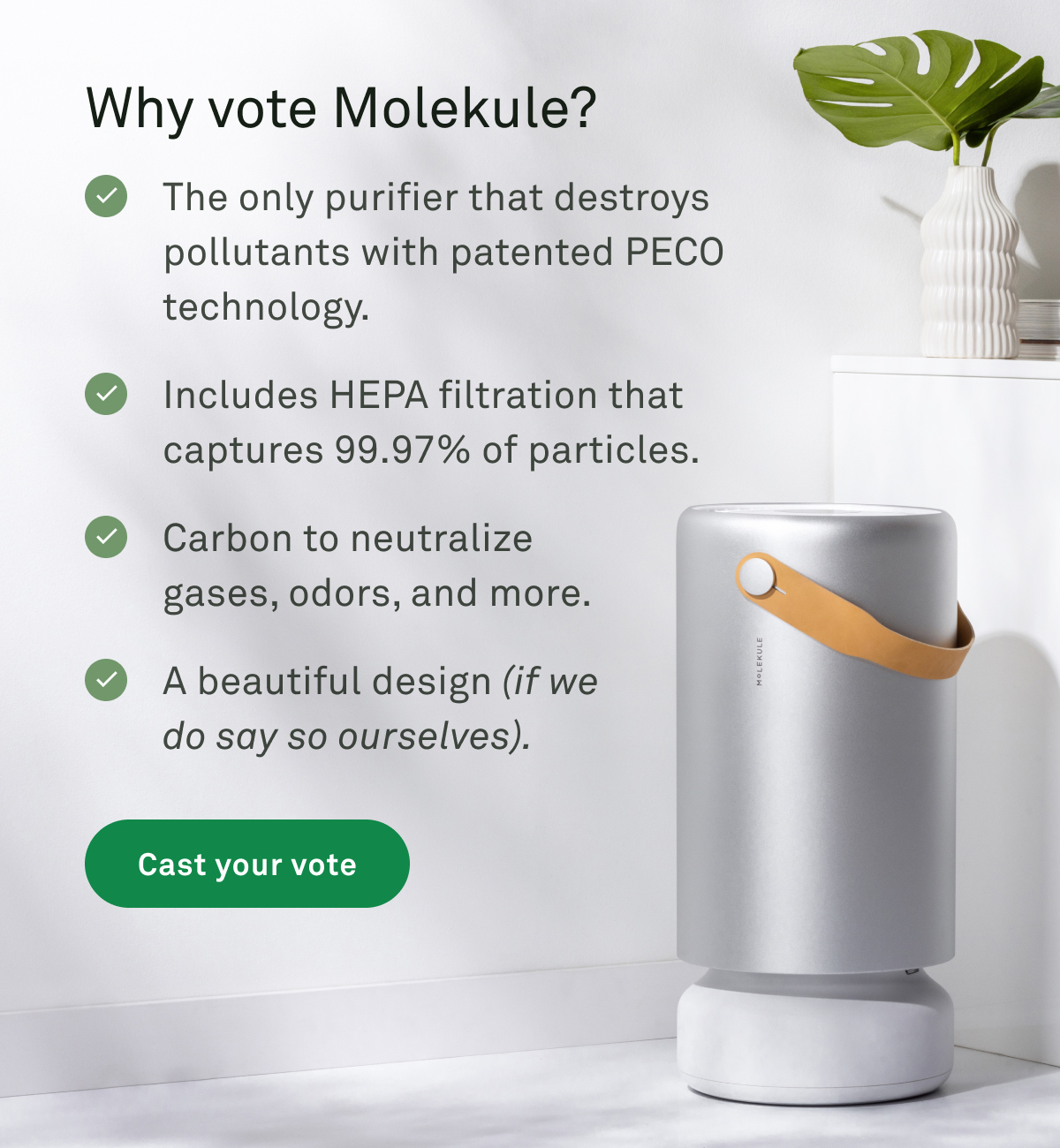 Why vote Molekule?