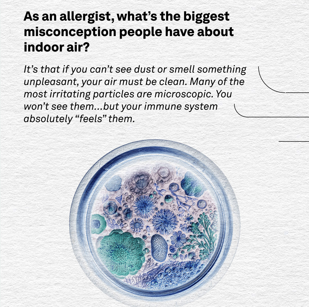 As an allergist, what's the biggest misconception people have about indoor air? Read more now.