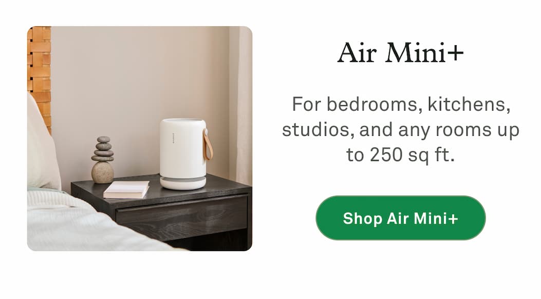 Air Mini+