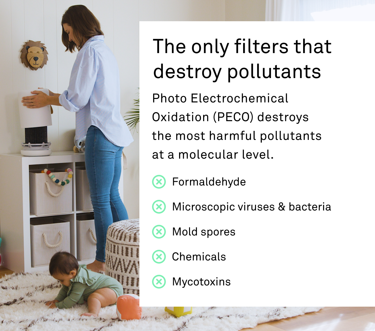 The only filters that destroy pollutants The only filters that destroy pollutants