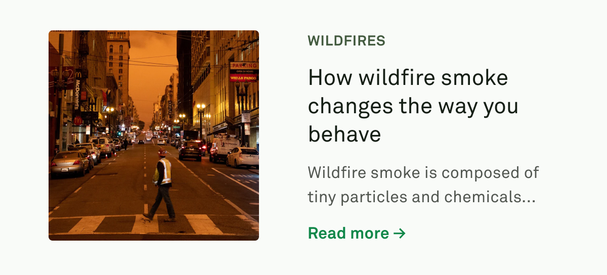 How wildfire smoke changes the way you behave