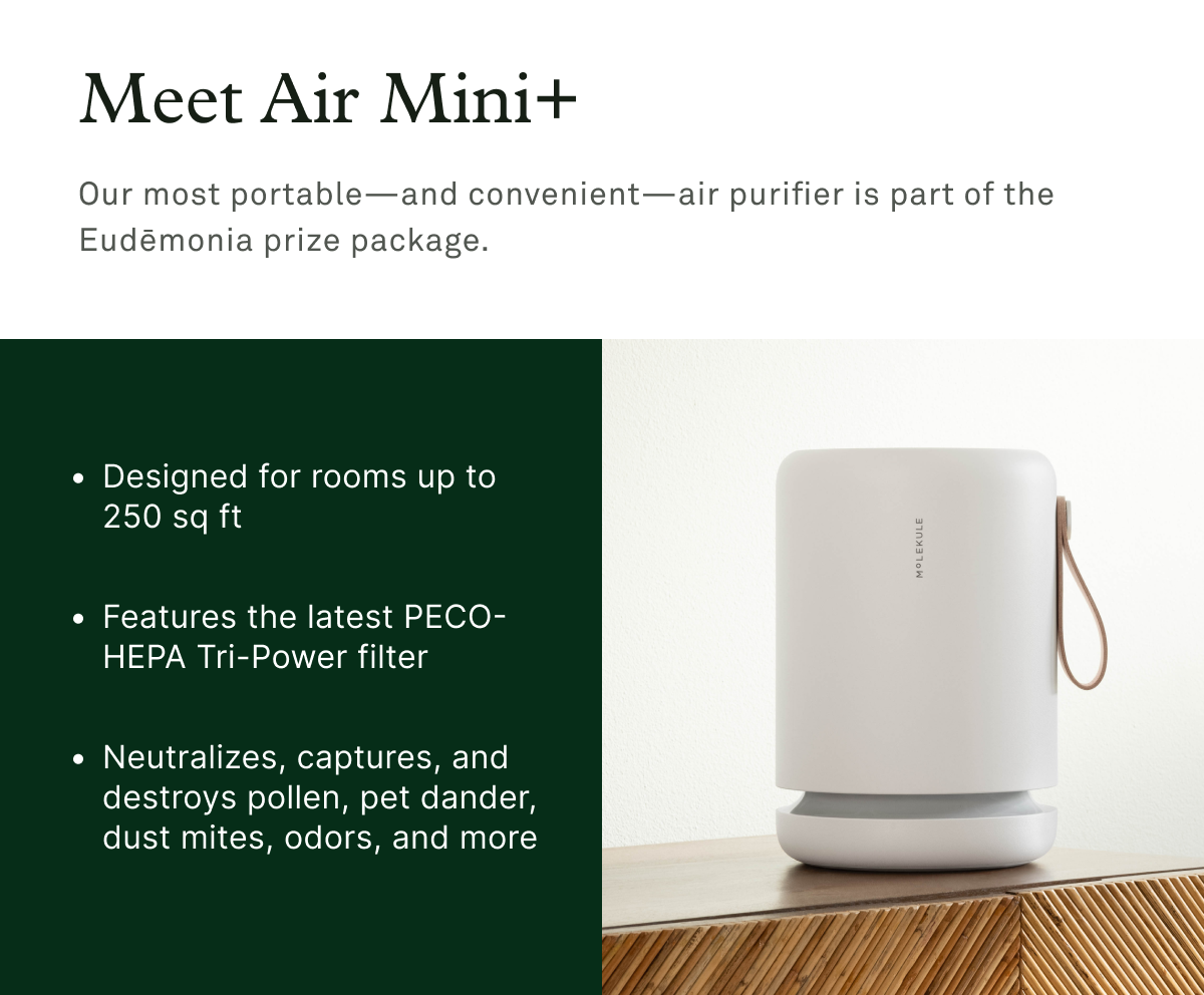 Meet Air Mini+