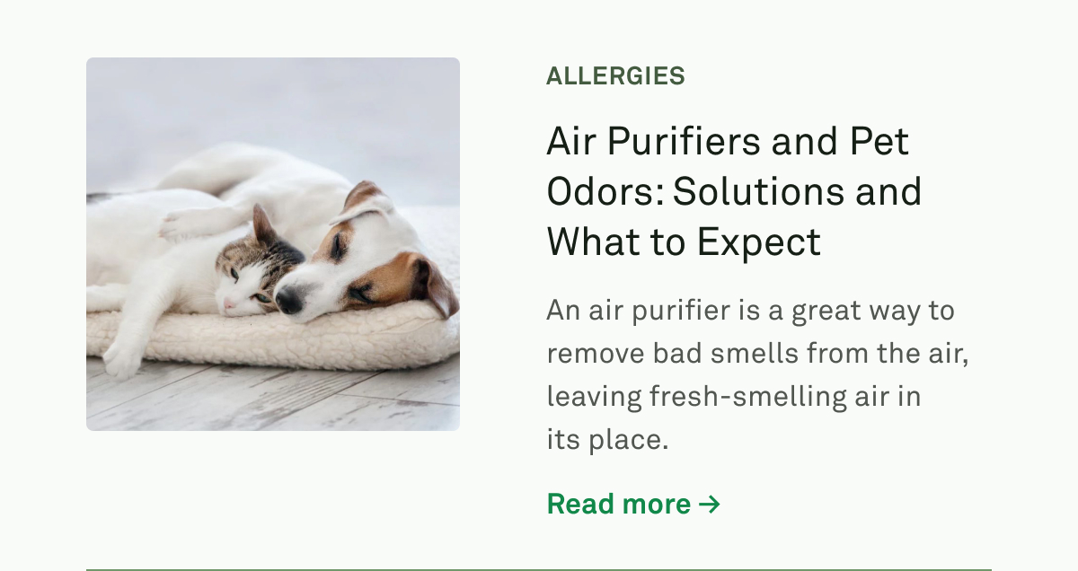 Air Purifiers and Pet Odors: Solutions and What to Expect Air Purifiers and Pet Odors: Solutions and What to Expect