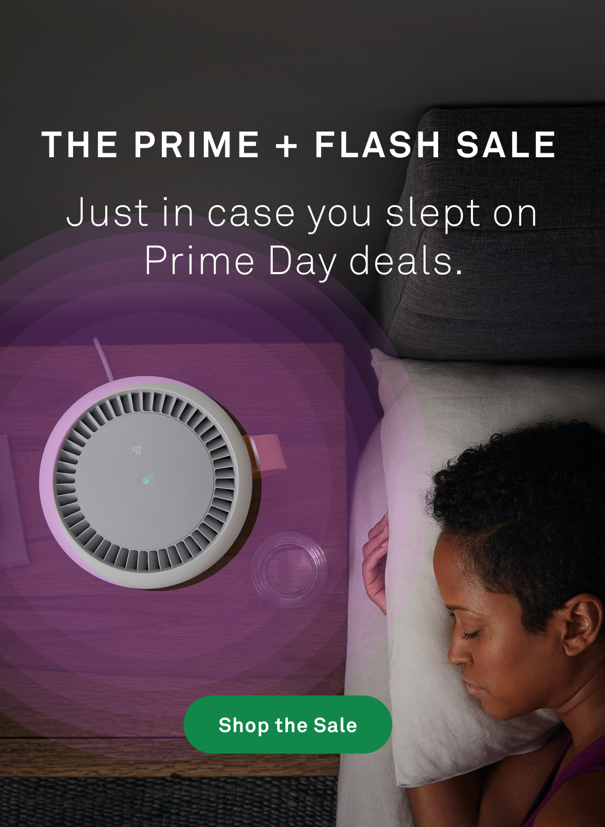 Shop the Sale Shop the Sale