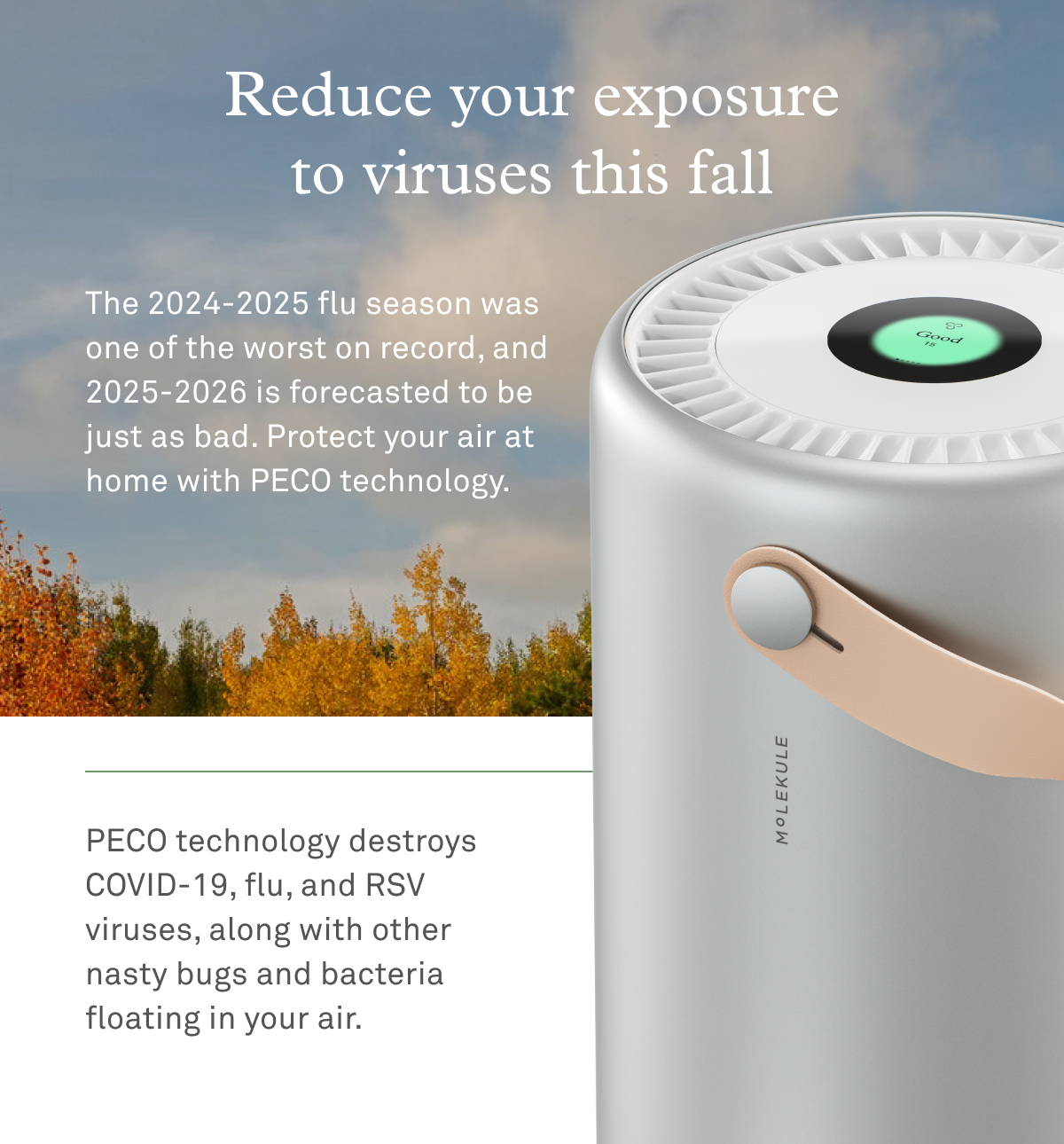 Reduce your exposure to viruses this fall Reduce your exposure to viruses this fall