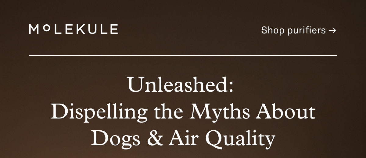 Unleashed Dispelling the Myths About Dogs & Air Quality Unleashed Dispelling the Myths About Dogs & Air Quality