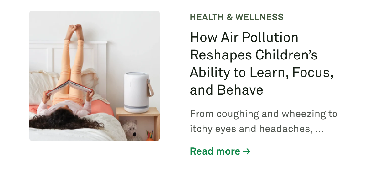 How Air Pollution Reshapes Children's Ability to Learn, Focus, and Behave