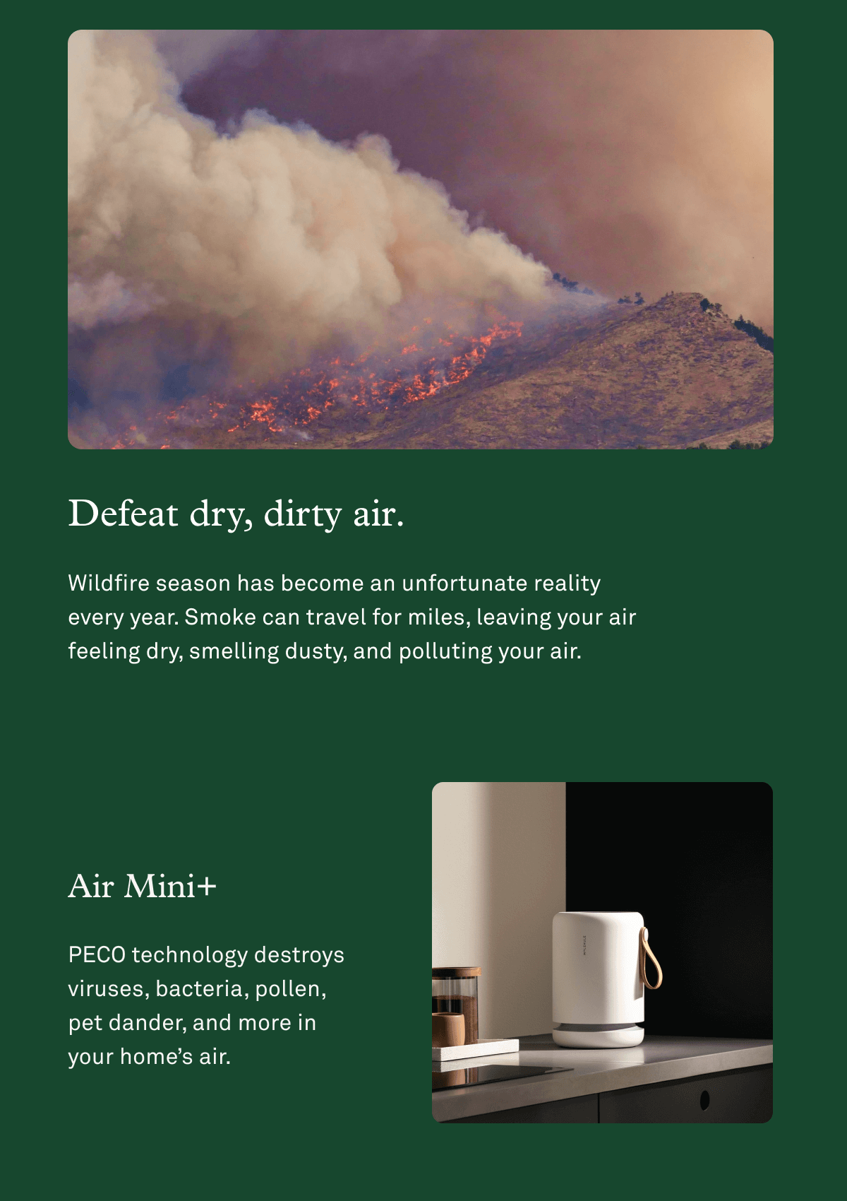 Defeat dry, dirty air with Air Mini+