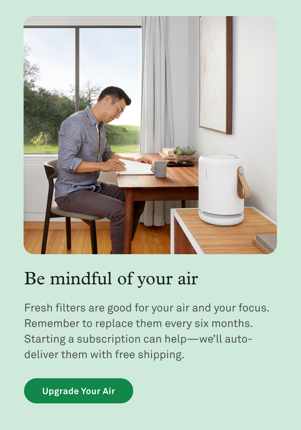 Fresh filters are good for your air and your focus. Remember to replace them every 6 months. Starting a subscription can help, and we'll auto-deliver them with free shipping.