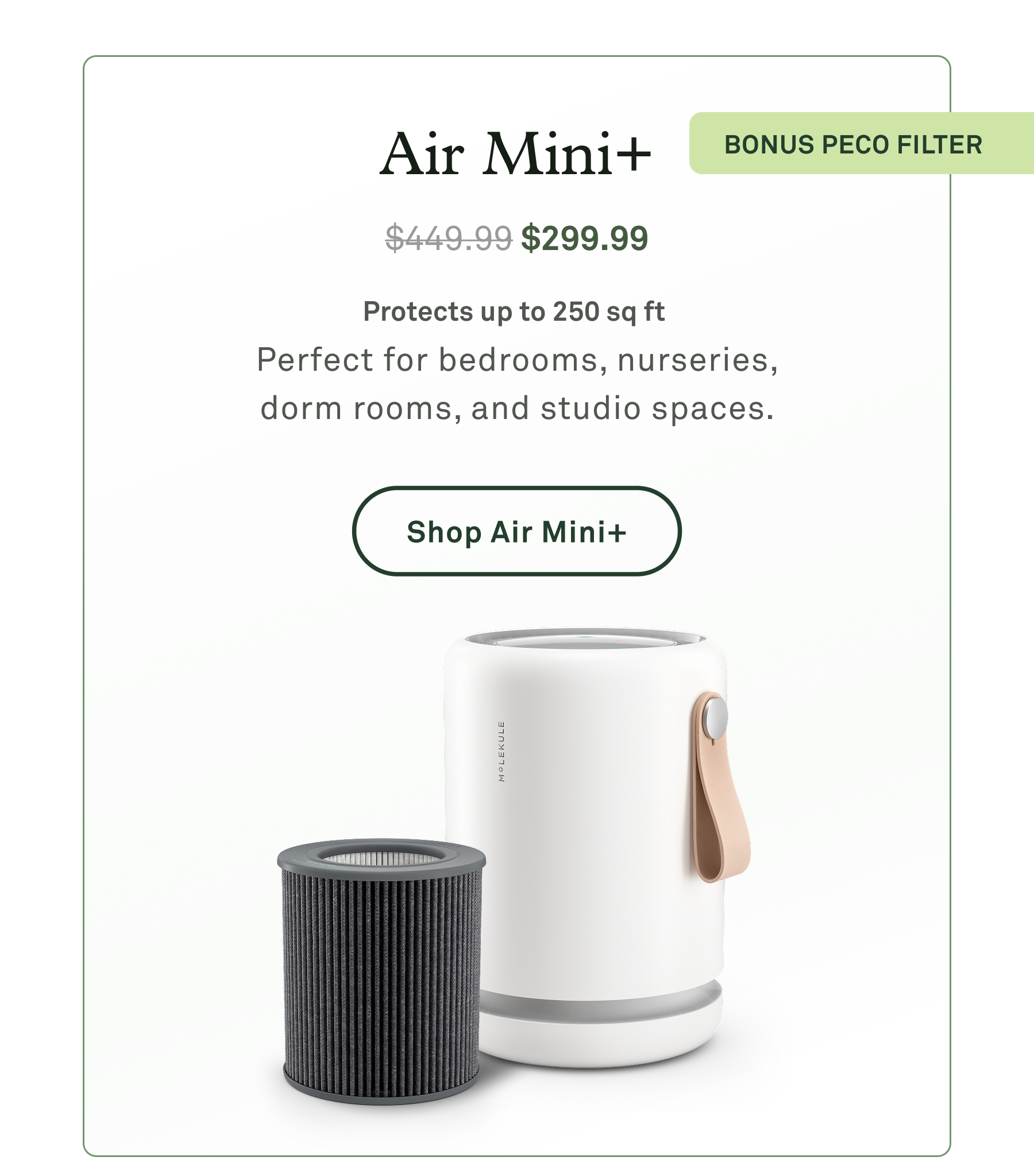 Air Mini+ with Bonus PECO Filter