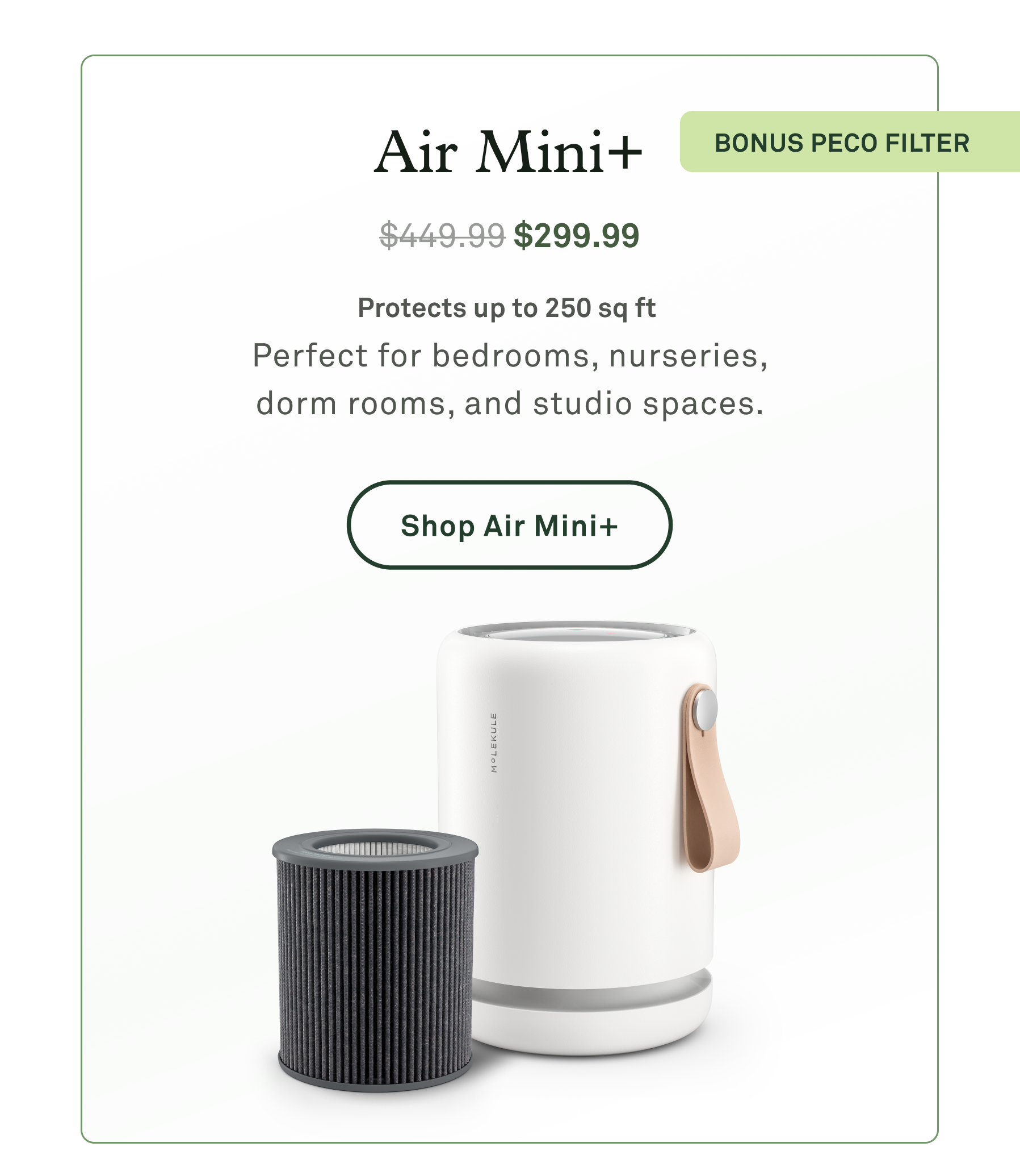 Air Mini+ with Bonus PECO filter
