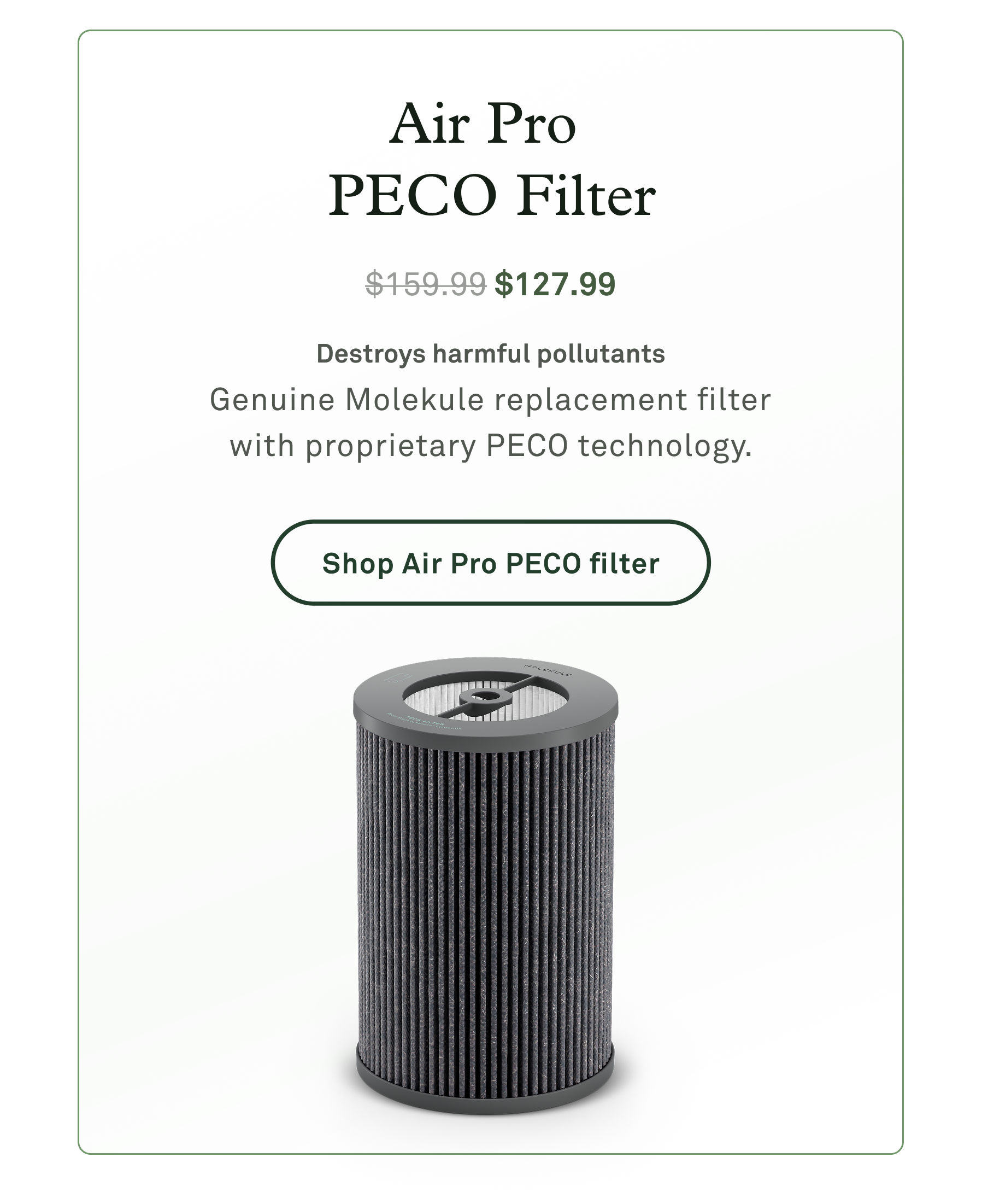 Air Pro PECO filter