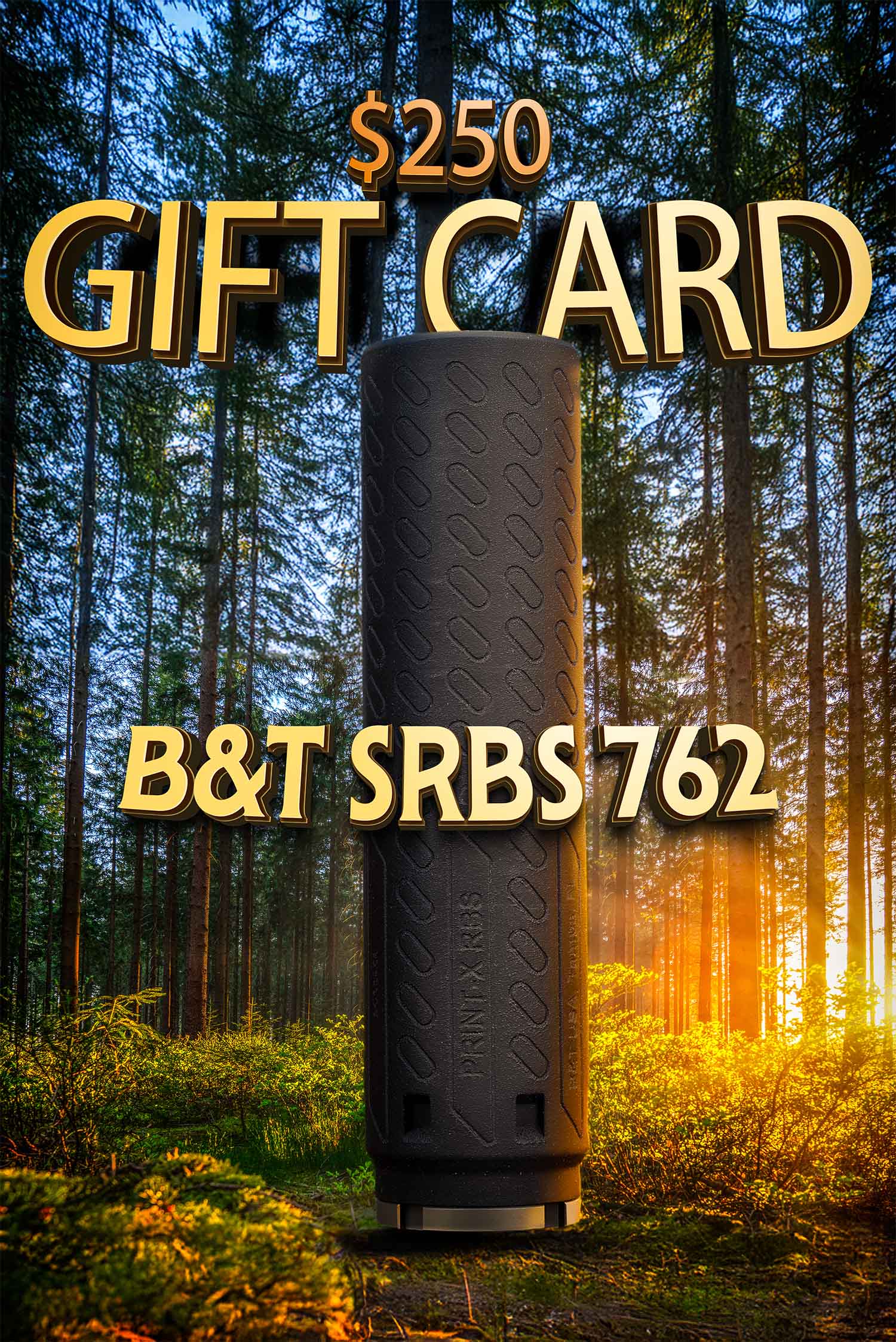 B&T SRBS 762 - $100 Gift Card