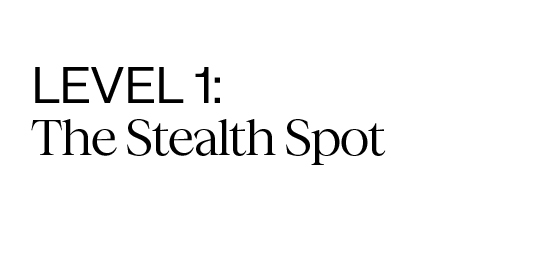 Level 1: The Stealth Spot