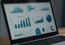 Excel Data Visualization and Dashboards