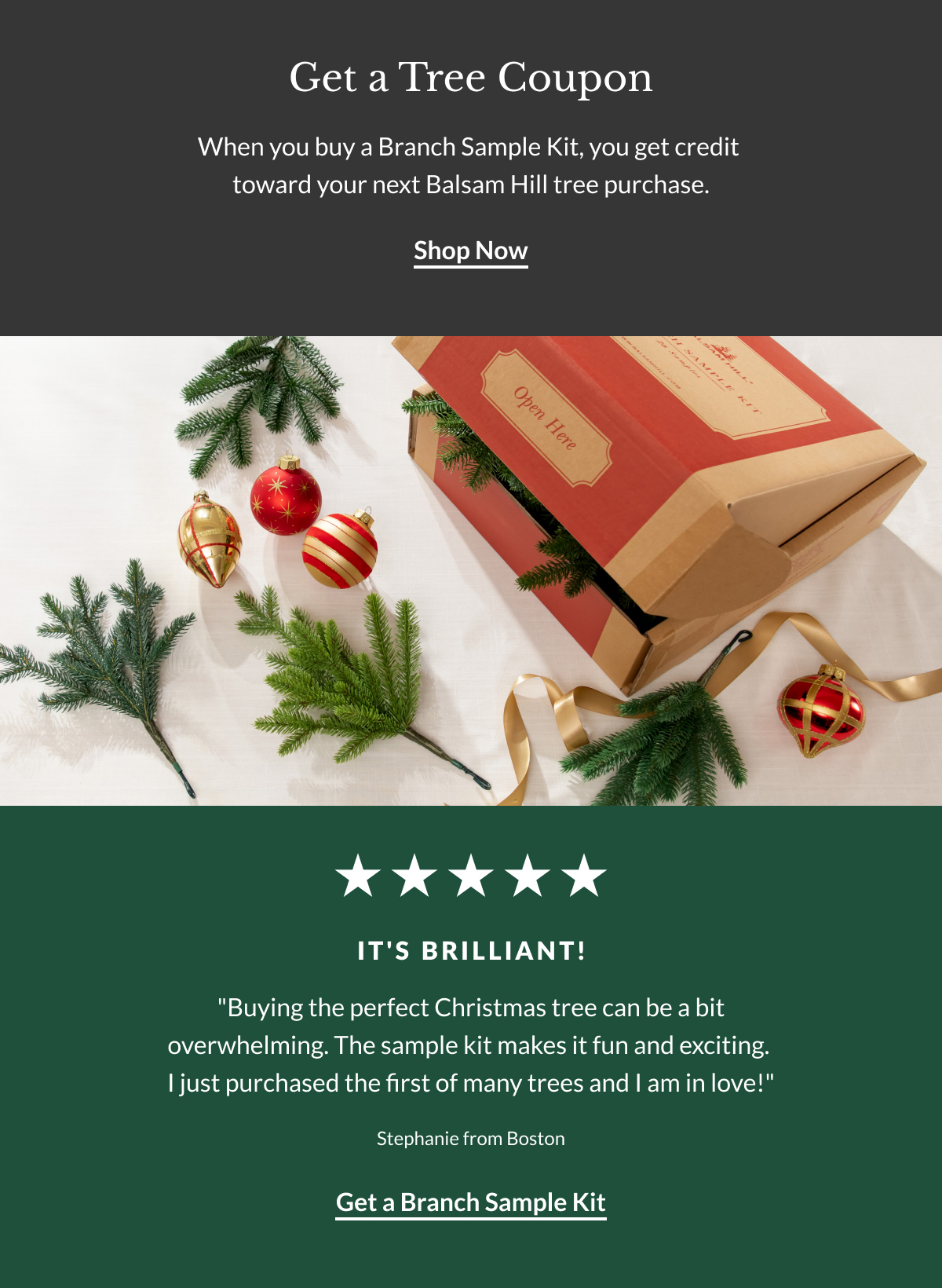 What's Inside the Branch Sample Kit Balsam Hill