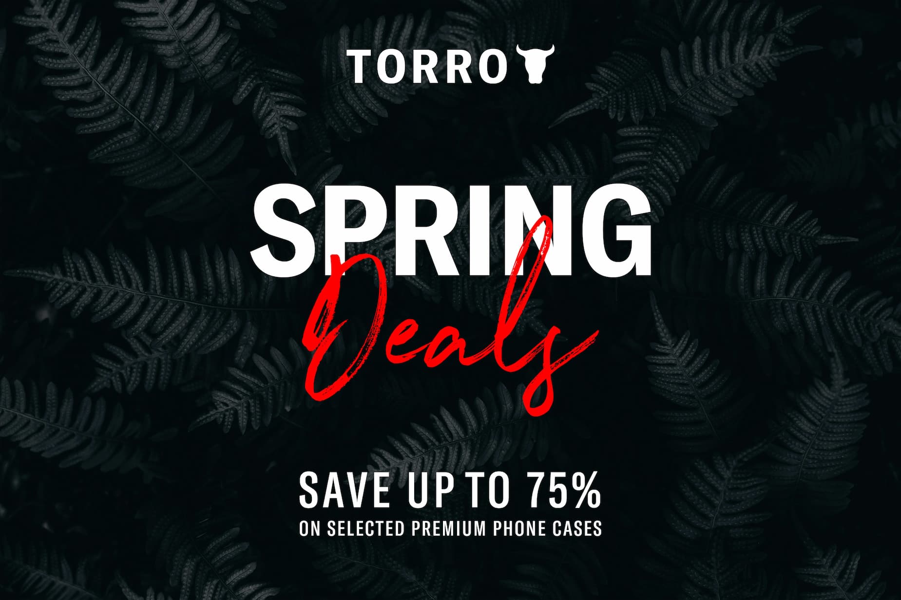 TORRO USA boxshot