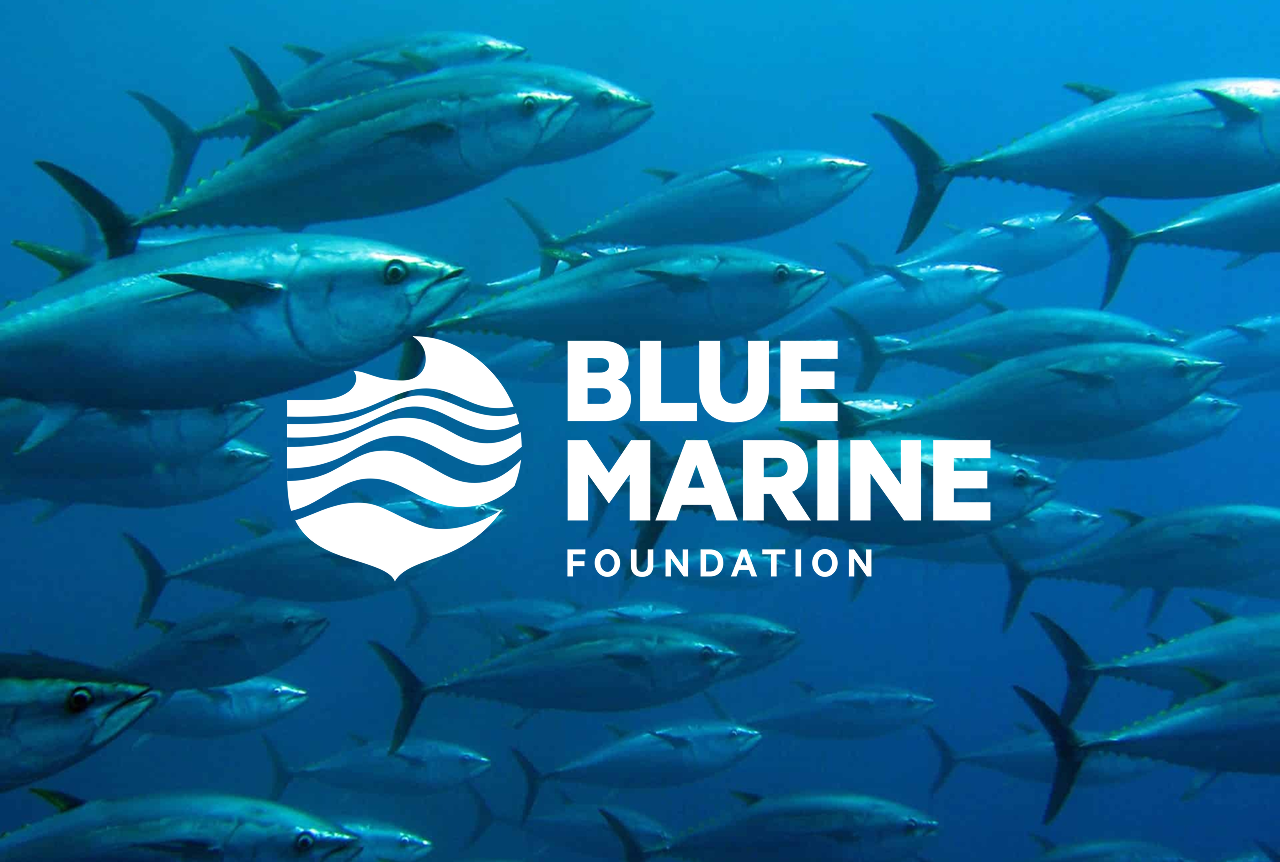Blue Marine Foundation