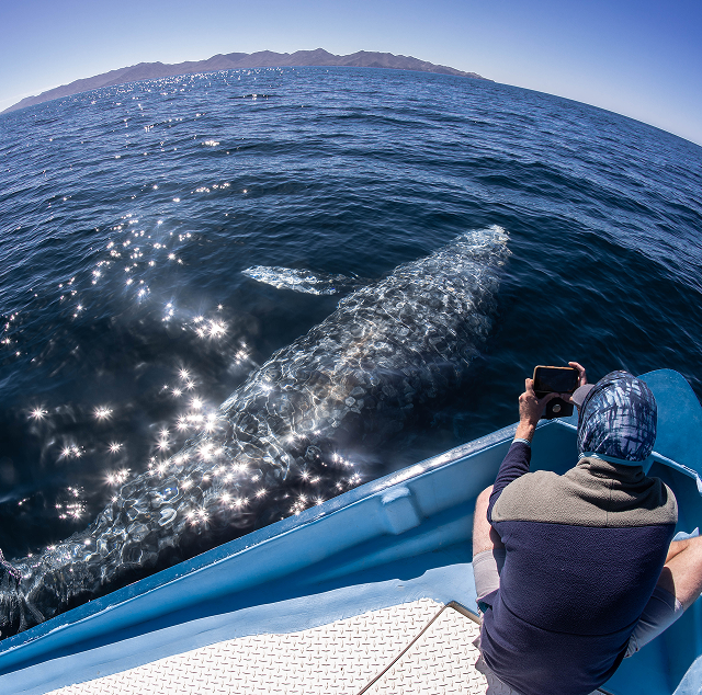 Blue Marine Foundation