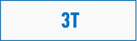 3T