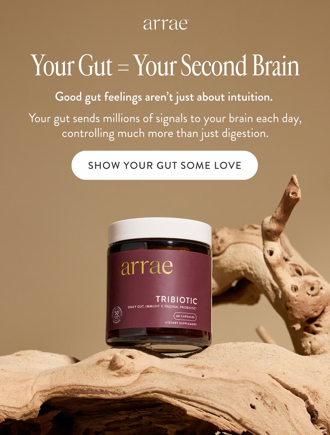Your Gut = Your Second Brain Good gut feelings aren’t just about intuition.  Your gut sends millions of signals to your brain each day, controlling much more than just digestion. SHOW YOUR GUT SOME LOVE