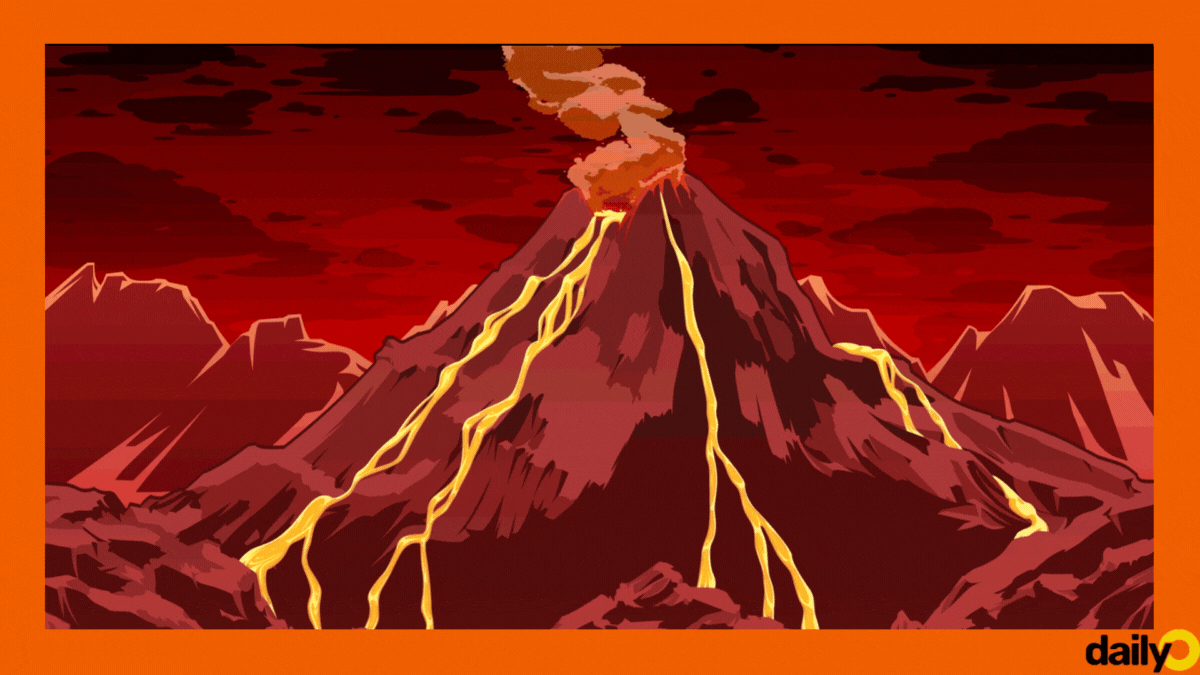 🚨Strain Spotlight! Lava Cake🔦 Premium Seed Market