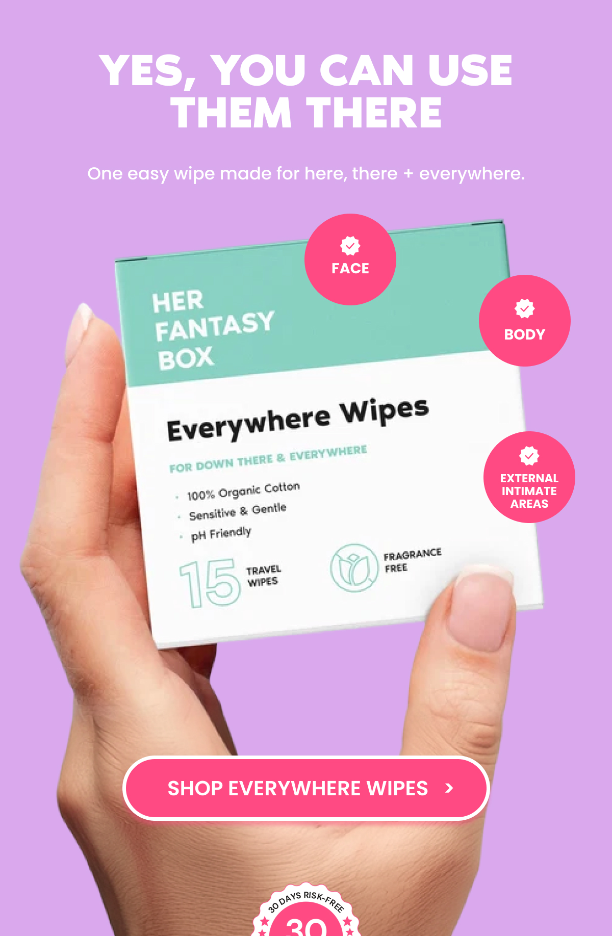 EVERYWHERE WIPES
