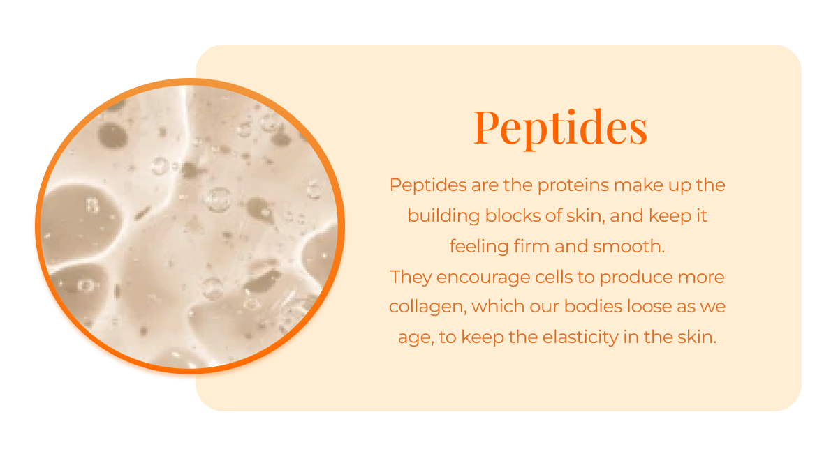 PEPTIDES