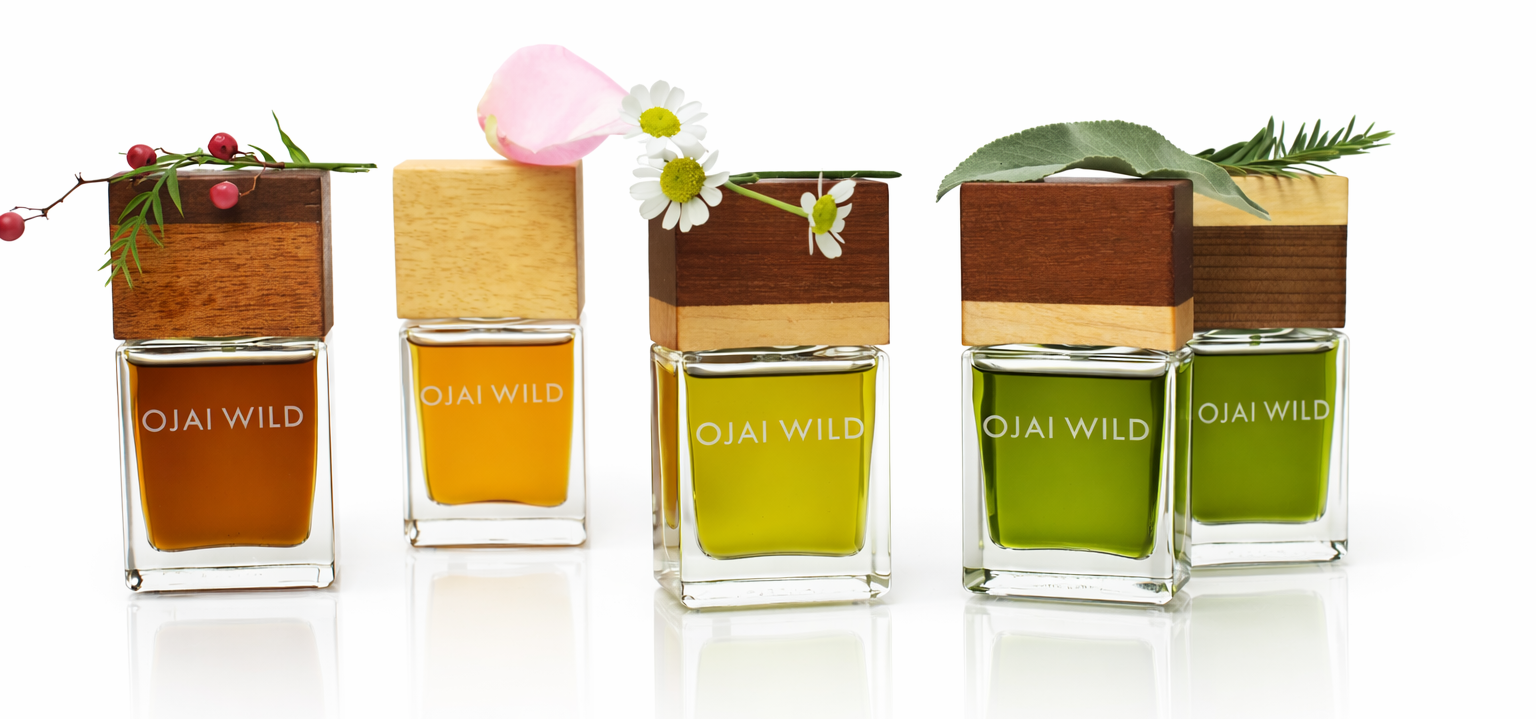 Redwood Leaves Fragrance | Ojai Wild