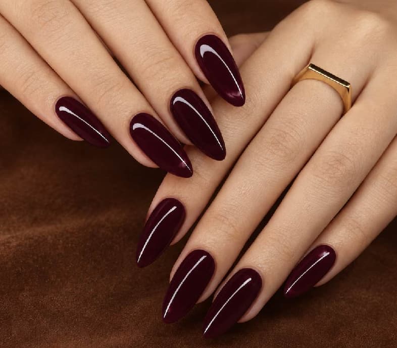 Anna's Cloak SNS PRO 059 HD10 on nails