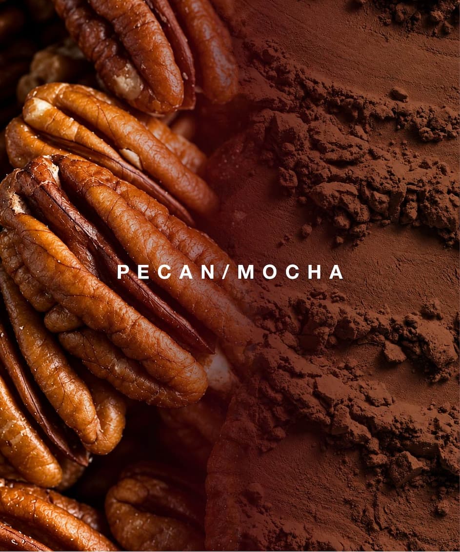 Maple syrup and pecan pie, the mood of Maple & Mocha